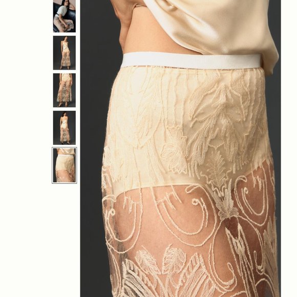 By Anthropologie Sheer Embroidered Skirt - Picture 4 of 5